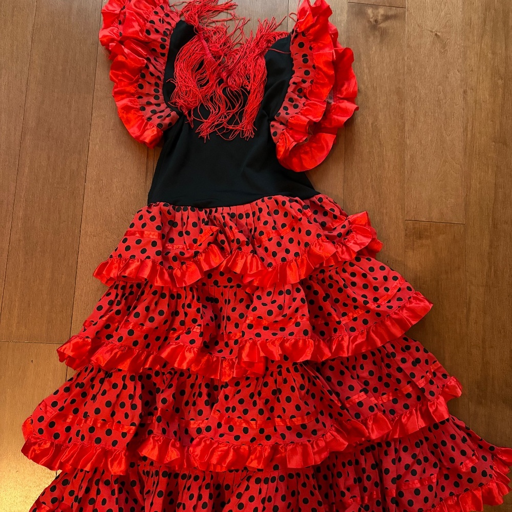 La Senorita Spanish Flamenco Dress Girls Costume, size 10